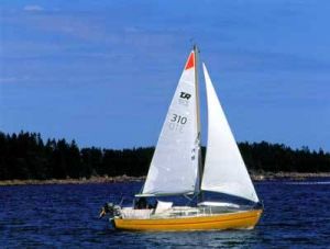 bild Tur 80 