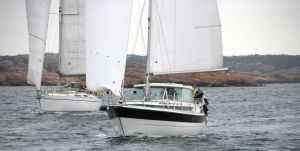 bild Winga 87 