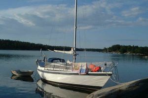 bild Winga 29  