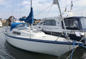 bild Witus 27  